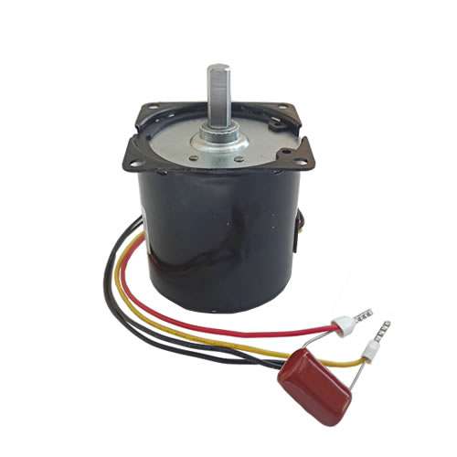 SYNCHRONOUS MOTOR RODMO 220V AC REVERSIBLE